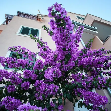 Lara & Luka Appartement