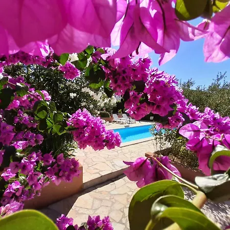 Apartments Lara & Luka Apartment *