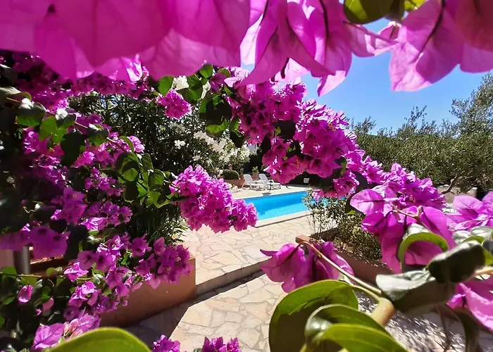 Apartments Lara & Luka Apartman *