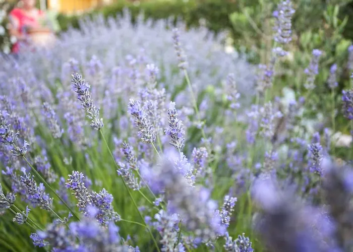 Apartman Apartments Lara & Luka Zadar